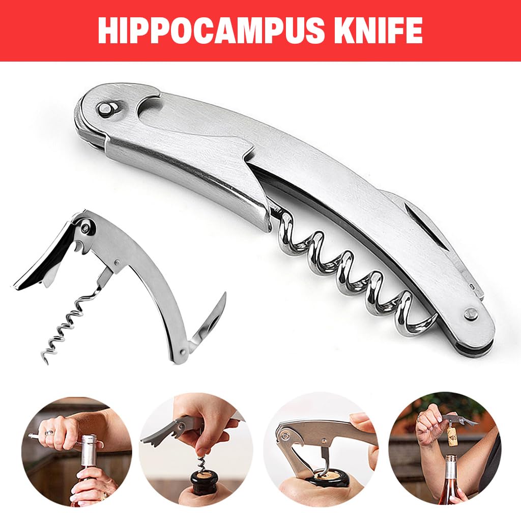 ZIBUYU Wine Accessories Kit 5Pcs for Parties and Gifts with Bottle Shaped Box | Includes Corkscrew and Stopper