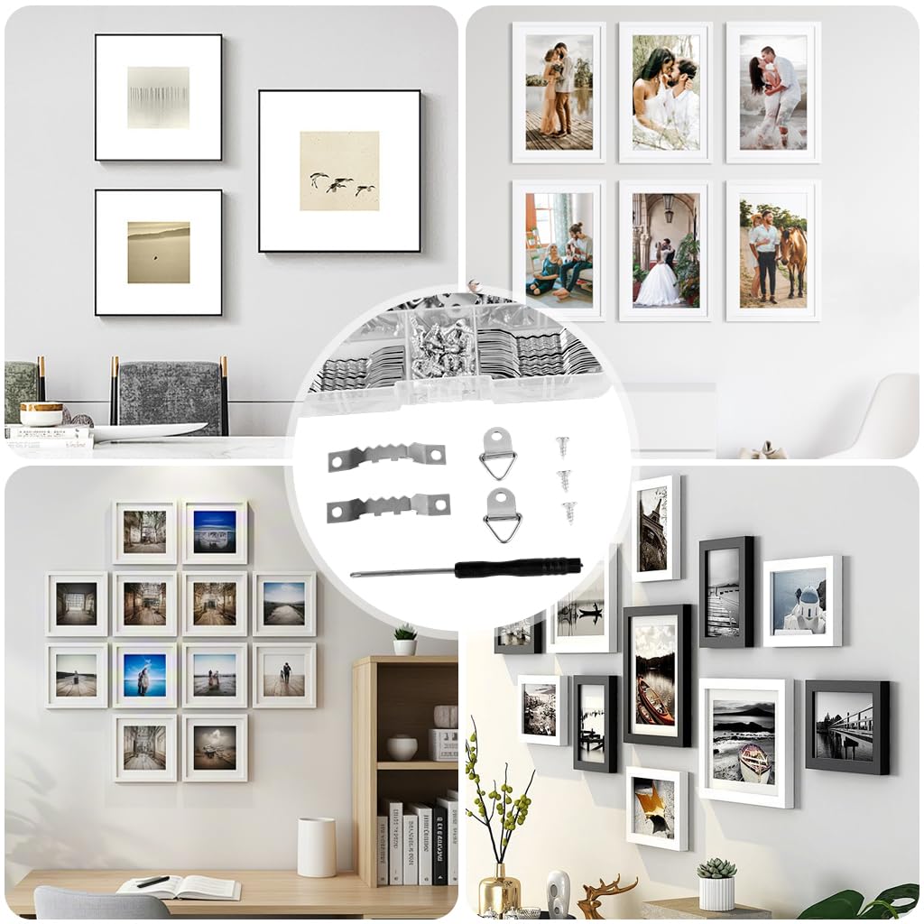 HASTHIP Picture Frame Hanging Kit for Artworks and Photo Walls with 251 pcs Silver Metal Hangers