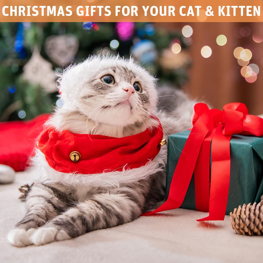 Qpets Cat Feather Toy for Interactive Play with Dual-Wire Wand and Suction Cup Base 2 PCS