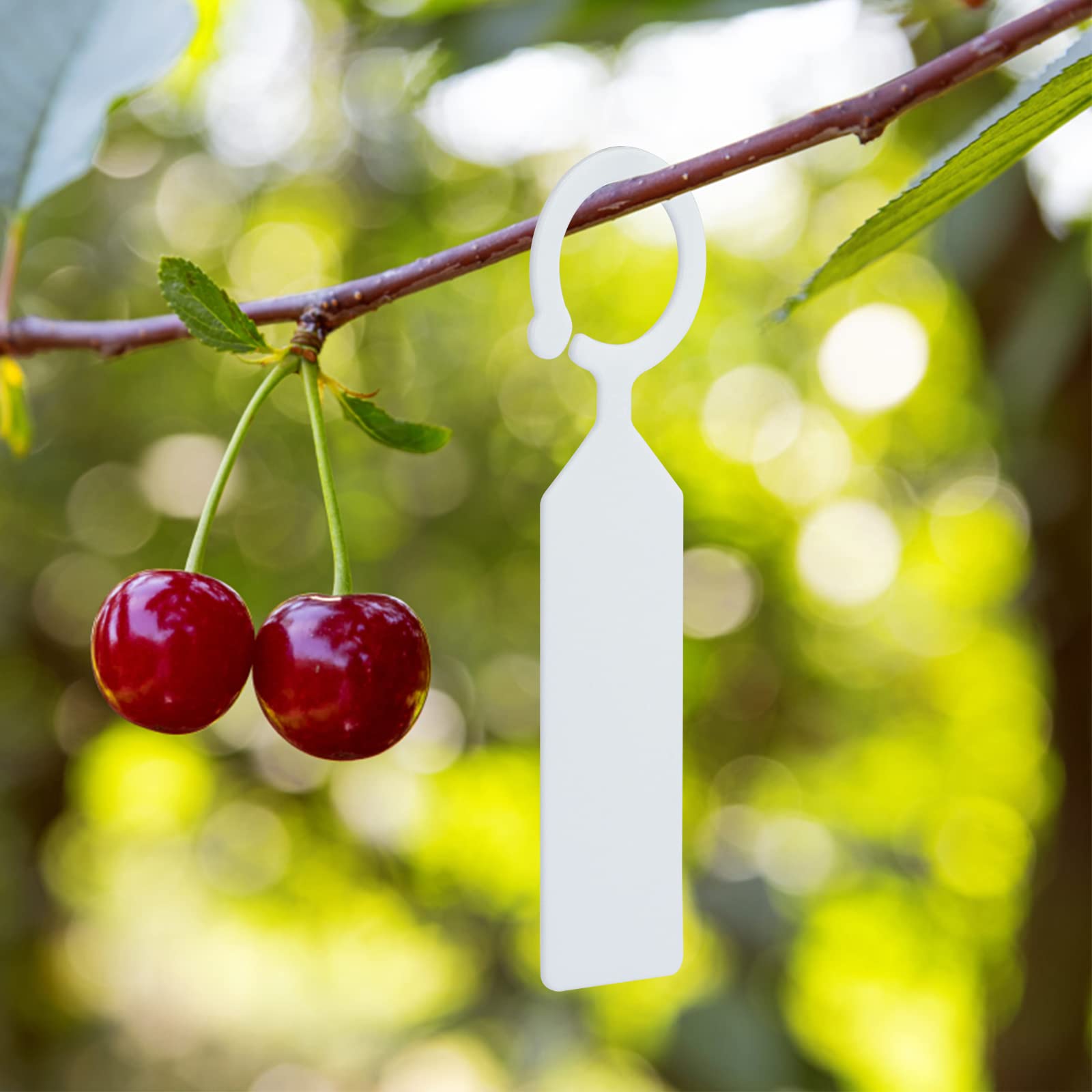 HASTHIP® 100Pcs White Plastic Plant Tree Tags Ring Tag Hanging Plant Labels