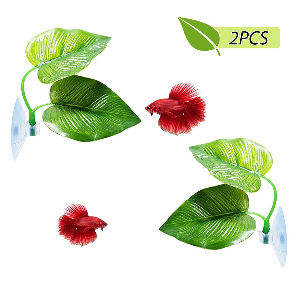 Qpets® 2 Pcs Betta Fish Leaf Pad Realistic Rest Leaf Improves Betta's Health by Simulating The Natural Habitat Spawning Area Rest Area for Fish Aquarium