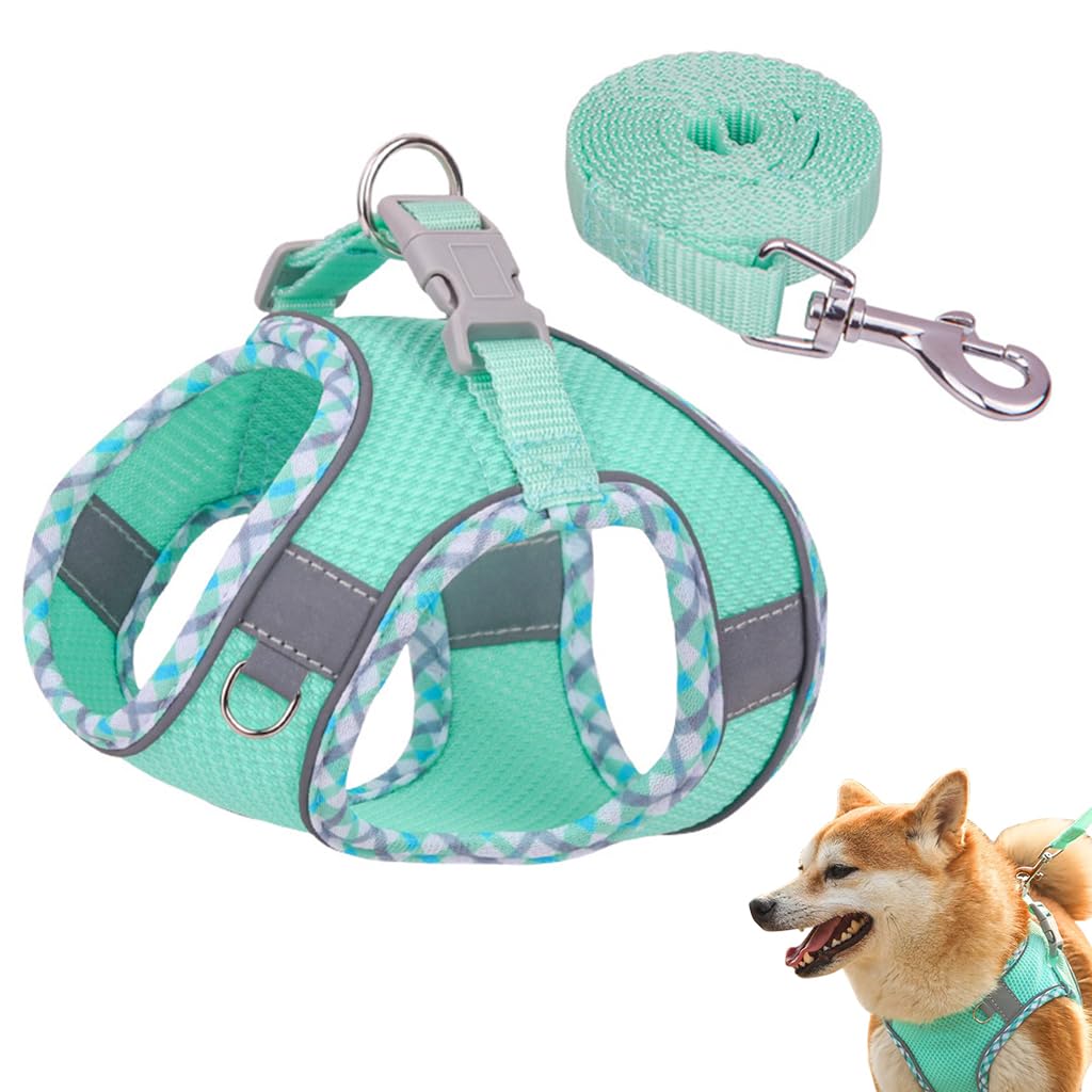 Qpets® Small Dog Harness, 4.9Ft Dog Leash Breathable Mesh Pet Harness Small Dog Vest Harness with Safe Reflective Strips No Pull Small Dog Harness (Neck: 32-38CM)