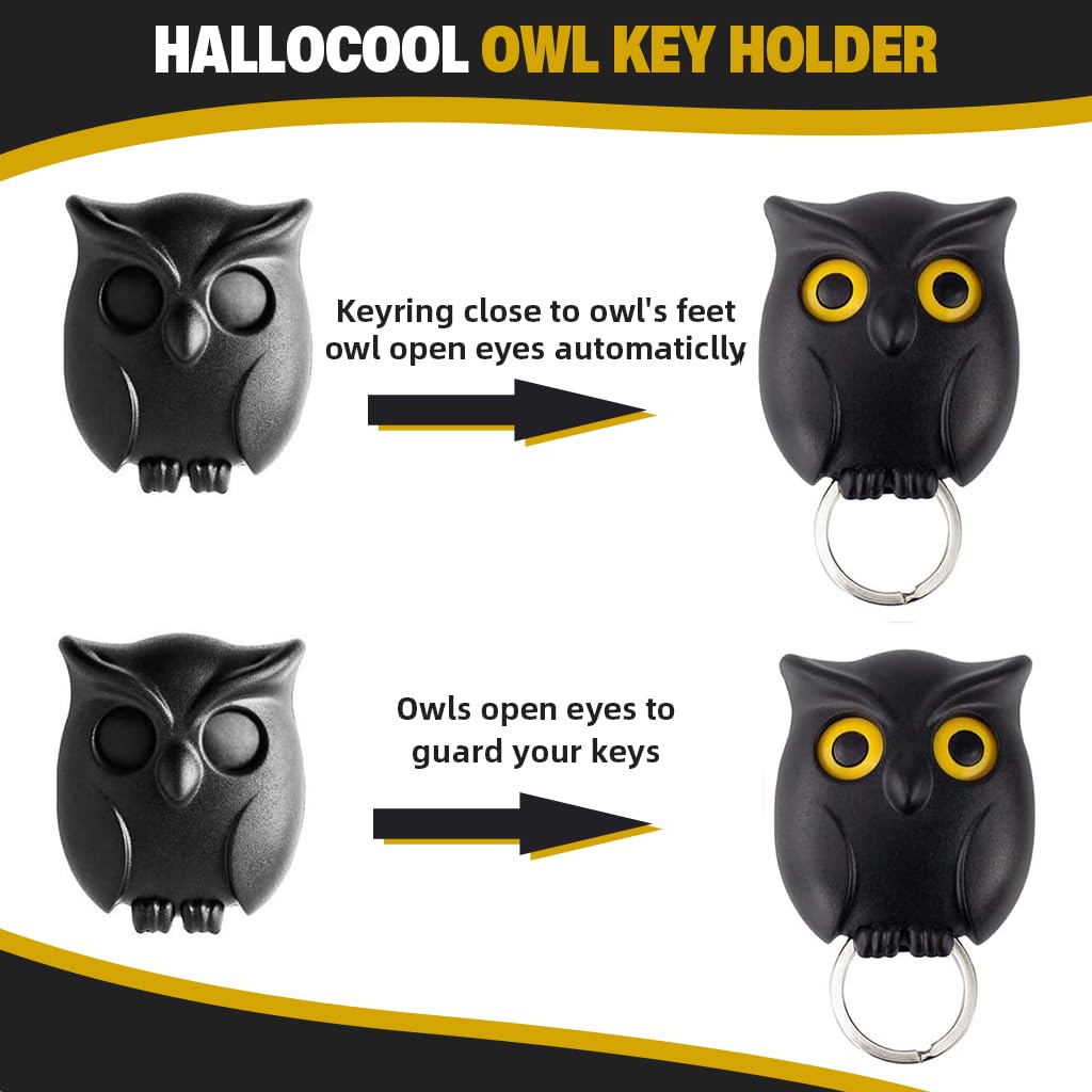 HASTHIP Key Mount Wall Organizer for Entryway with Push-in Key Grip and Blink Eye Owl Design