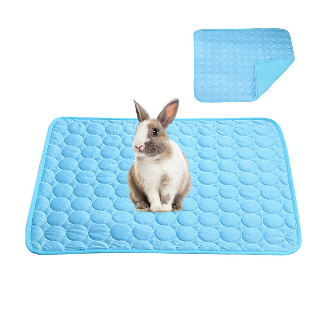 Qpets® 1Pcs Summer Cool Mat for Small Pet Ice Silk Comfortable Summer Cool Mat 15.7x11.8 Inches Summer Cooling Mat Pet House Cool Mat for Rabbit, Guinea Pigs, Hamsters, Kitties, Puppies