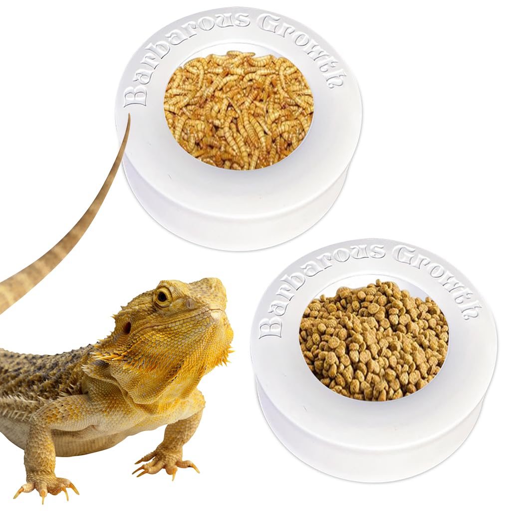 Qpets® Pets Food Boxes, PP Feeding Bowl for Reptiles Bearded Dragons Leopard Geckos Feeding Box for Worms, Insects, Anti-Leakage Feeding Box Water Bowl - 2Pcs