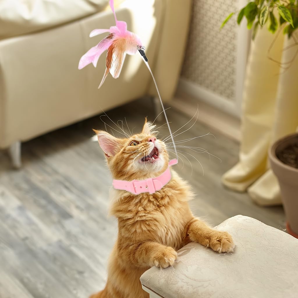 Qpets Cat Toys Feather Collar with 23cm Steel Wire Teasing Toy for Active Indoor Kittens