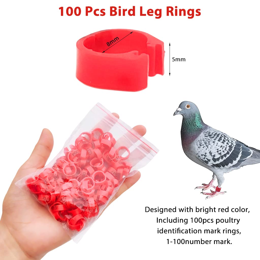 Qpets® 100 Pcs Bird Leg Rings-Numbered, Bird Identification Word Shaped Foot ringsLeg Bands Poultry, Leg Bands Clip on Leg Rings for Bantam Finch Dove Pigeons Lovebird Coturnix Quail