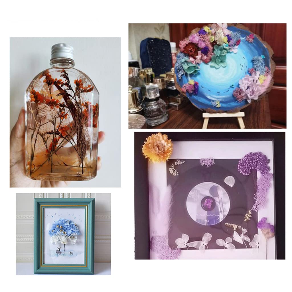 HASTHIP Natural Dried Flower Set for Resin Art and Room Decor featuring Air Dried Process