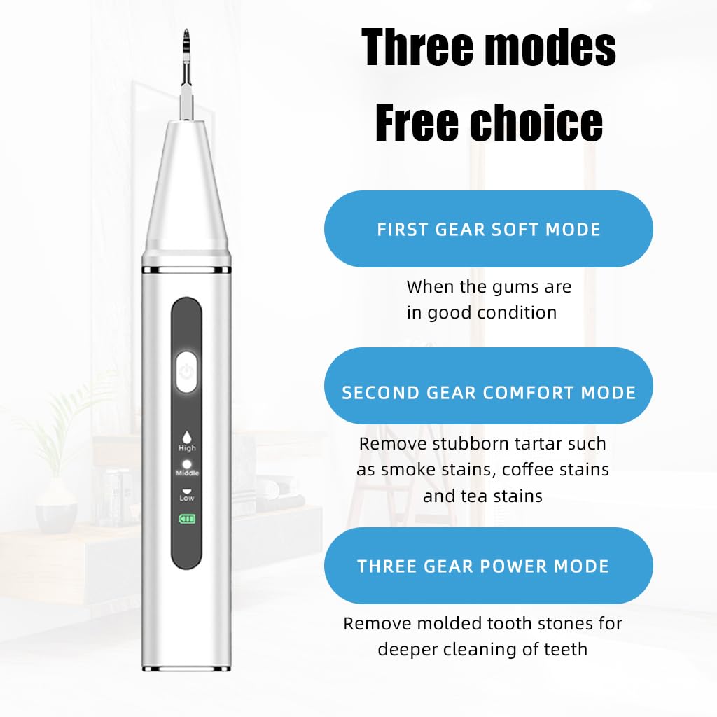 HANNEA Teeth Whitening Kit for Plaque and Tartar Removal with 3 Modes LED Light and 4 Stainless Steel Bits | USB Rechargeable Oral Cleaning Tool