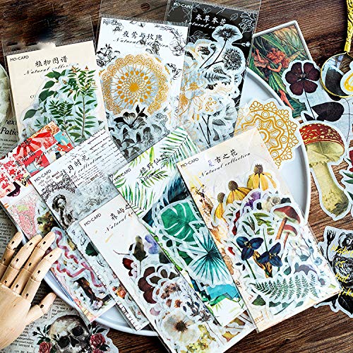 HASTHIP Paper Stickers for Scrapbooks and Notebooks featuring Vintage Designs | 60 pcs Multicolour Set