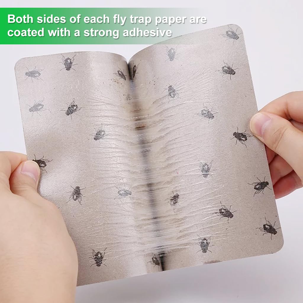 HASTHIP Adhesive Fly Trap for Kitchen with High-Strength Glue | 50-Count Non-Toxic Design