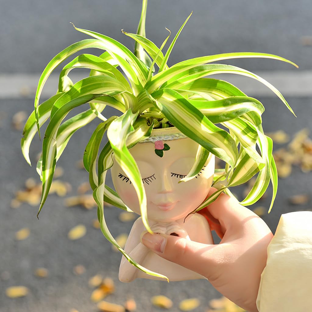 ZIBUYU Desk Succulent Planters 2Pcs for Home or Office with Smile Face and Heart Hand Design