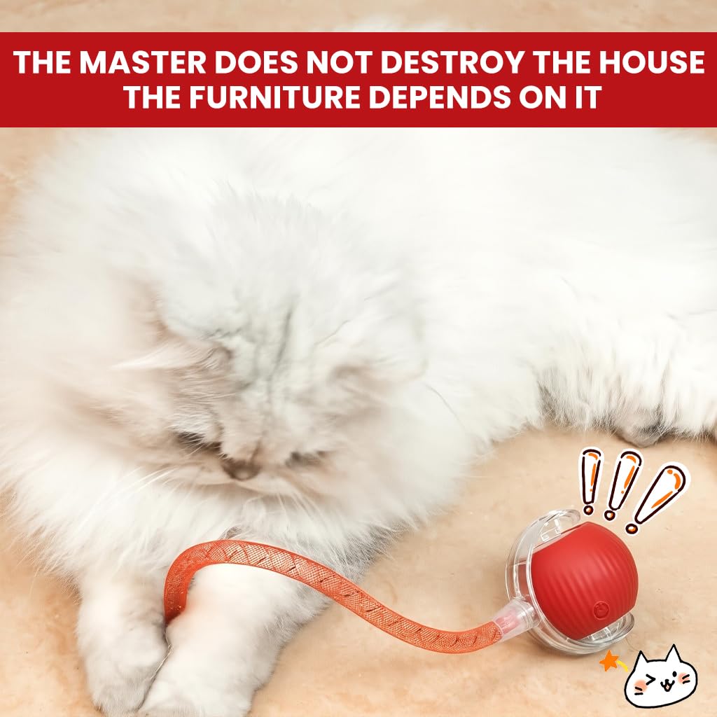 ZIBUYU Electric Cat Ball Toy for Interactive Play with 2 Speed Modes & USB Rechargeable Fun