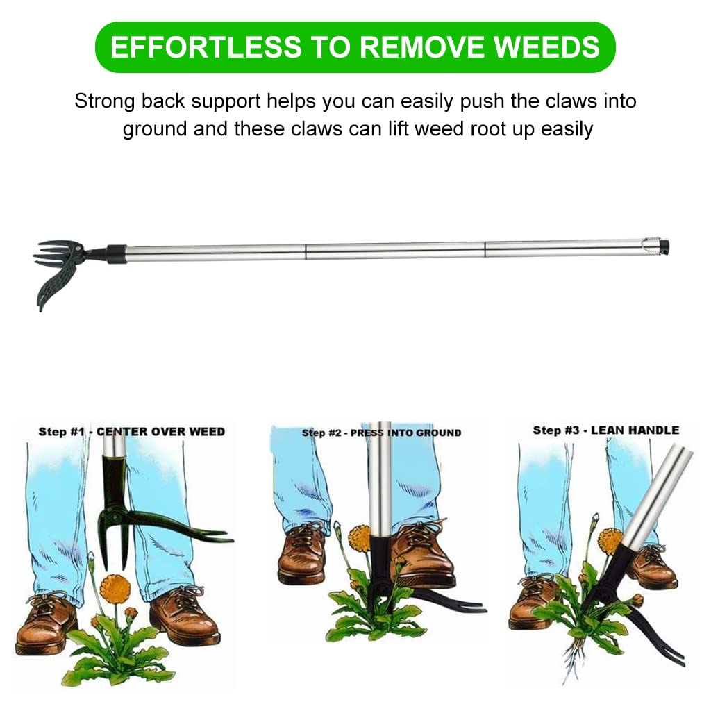 HASTHIP Manual Weeder for Lawn and Gardening with 3.3ft Handle featuring 4 Claws Stainless Steel Tool