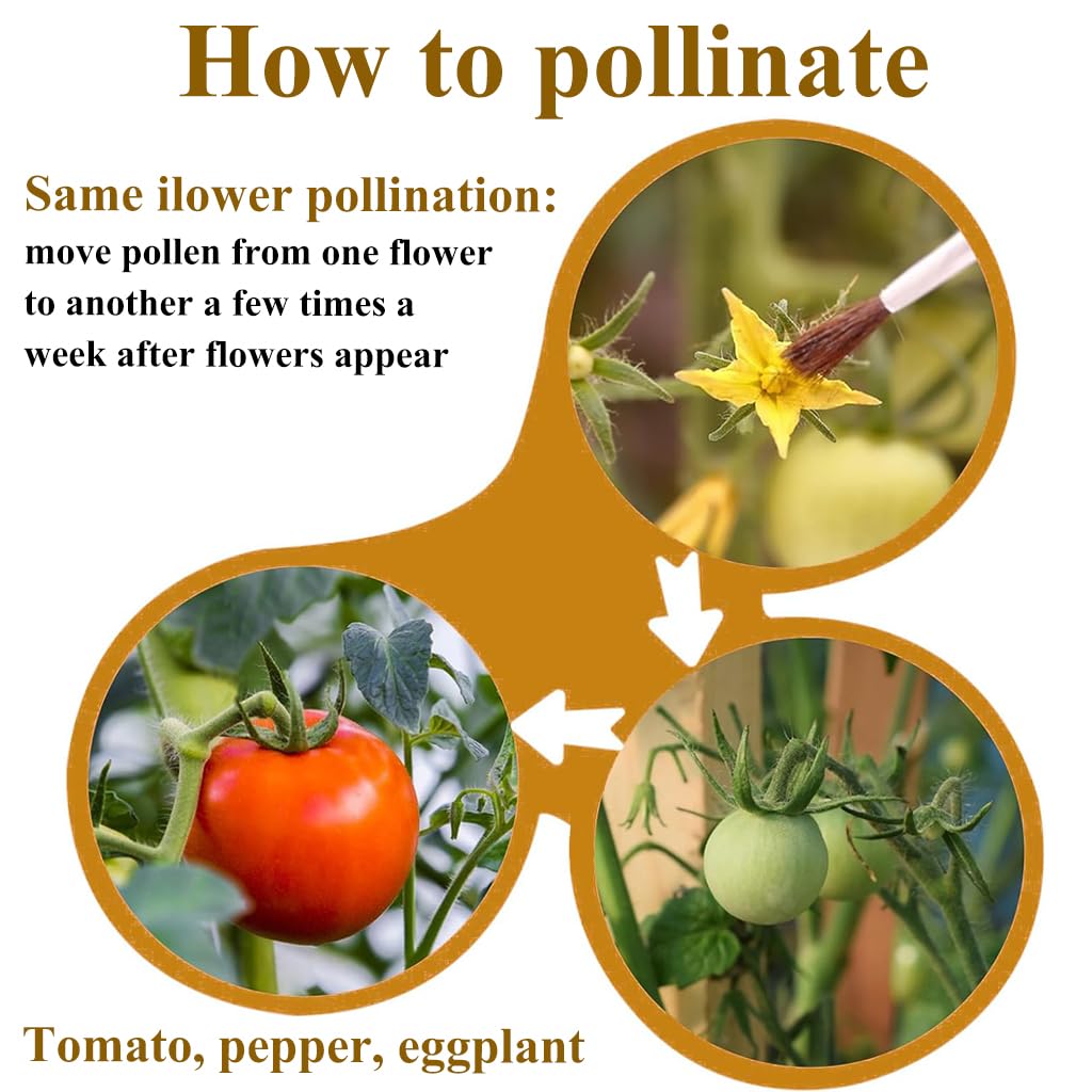 HASTHIP Pollinating Brush for Improving Pollination in Garden Flowers and Fruits | Handheld Tool