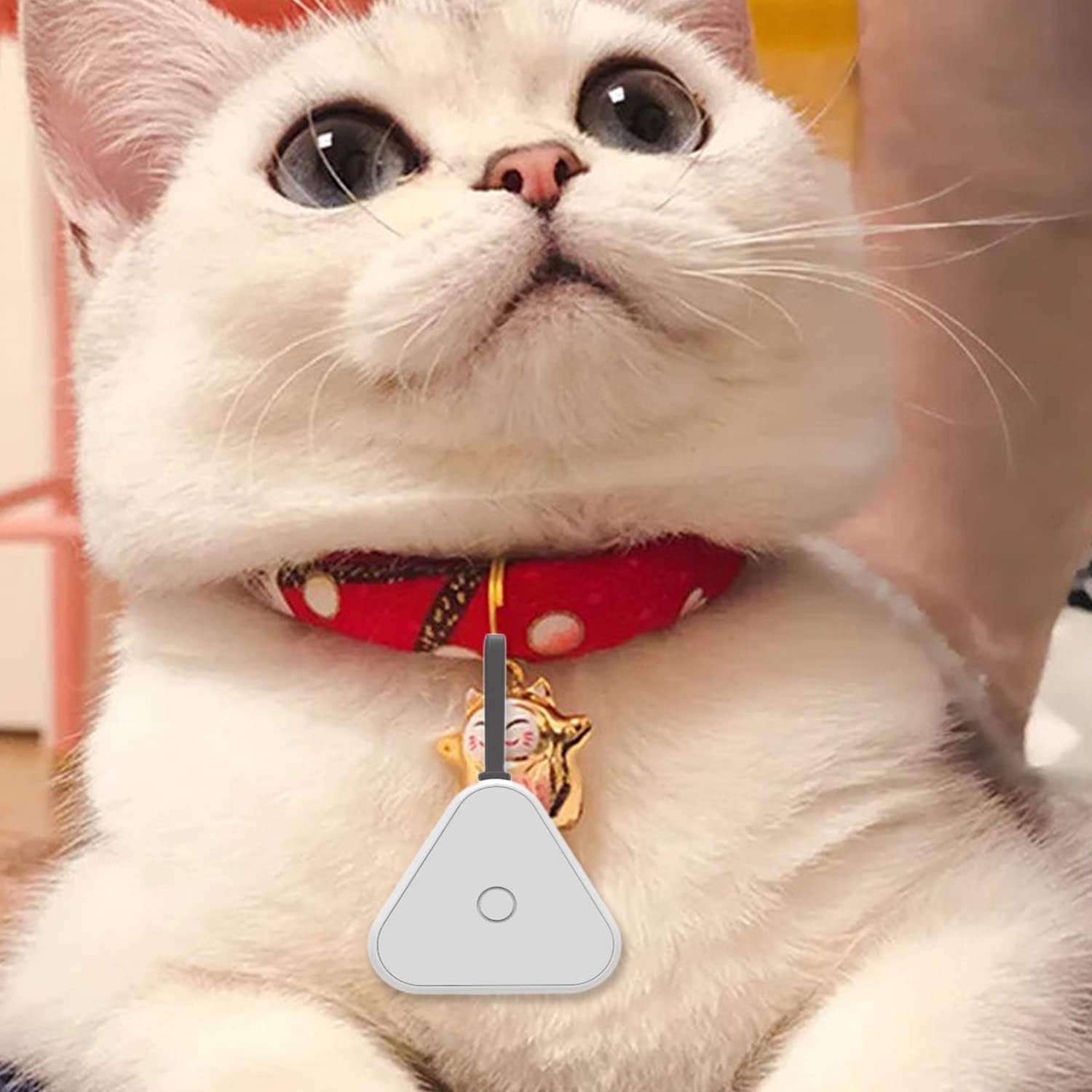 Zibuyu Bluetooth Key Finder for Keys Wallets and Pets with Silicone Loop | Compact 1.47in Design and App Control