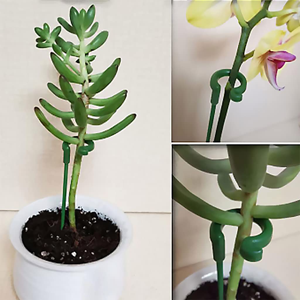 Optifit Plant Stakes for Orchid and Flower Support | 15pcs Set with 6.69–14.5 in Wire Rings