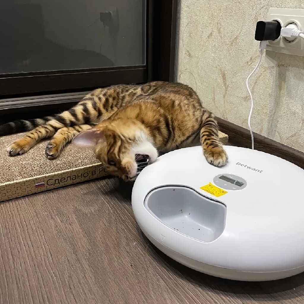 Qpets® Automatic Cat Feeder 6 Meal Rotatable Cat Food Dispenser Pet Food Dispenser for Wet Dry Pet Food Dispenser for Small Medium Pet Cat Food Batteries & USB Power Supply