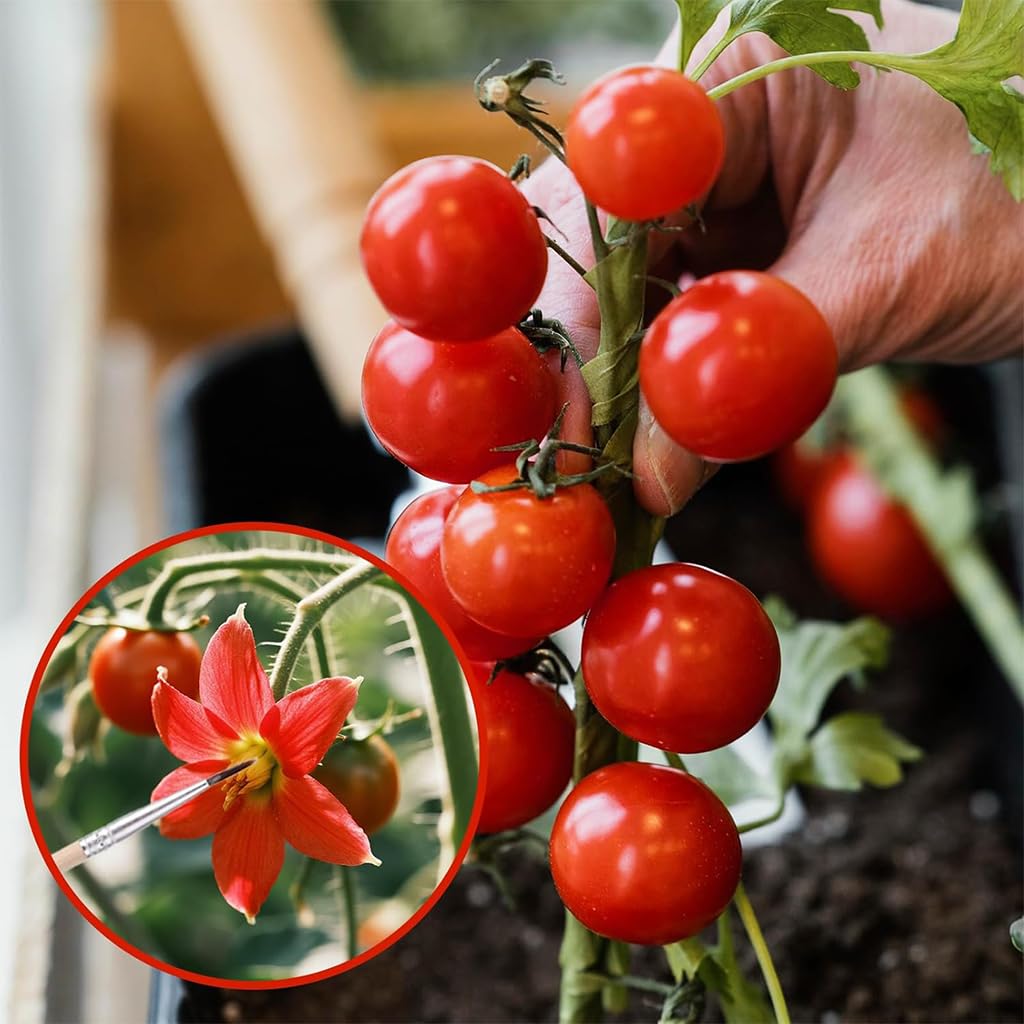 HASTHIP Pollinating Brush for Improving Pollination in Garden Flowers and Fruits | Handheld Tool
