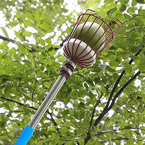 HASTHIP® 190cm Fruit Picker with Basket and Telescopic Pole, Fruit Plucker for Coconut, Mango and More, Easy to Use Fruits Catcher Tree Picker