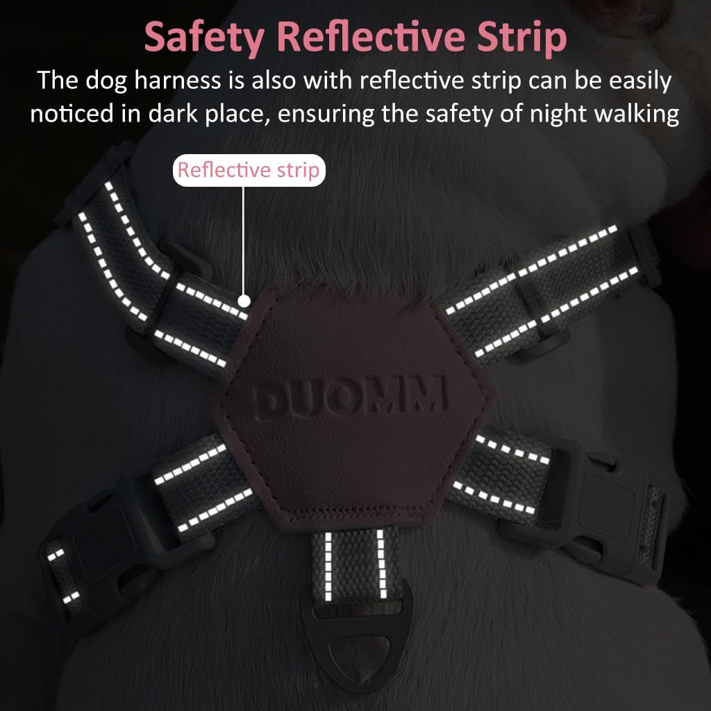 Qpets Dog Harness Leash Set for Small Dogs with 4 Adjustable Straps and Reflective Strap | Pink Nylon Breathable Vest 42–52cm Chest