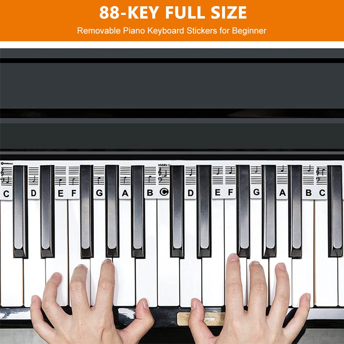 HASTHIP Piano Stickers for 88 Keys with Removable Silicone Design for Beginners Practice | Easy to Place and Remove