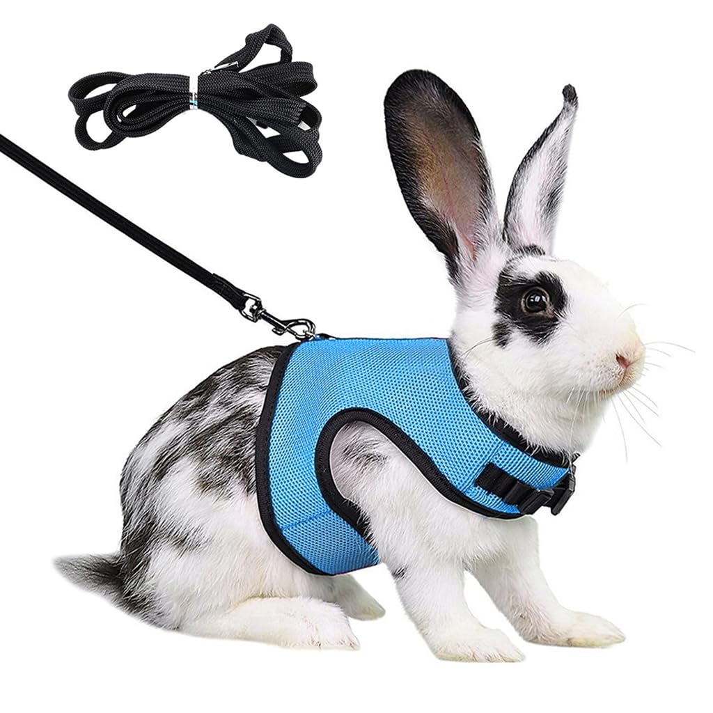 Qpets® Rabbit Harness with Leash Breathable Mesh Harness for Rabbit 3.5lbs-6lbs Adjustable Small Pets Harness for Rabbit, Guinea Pigs, Chinchillas (XL, Blue)