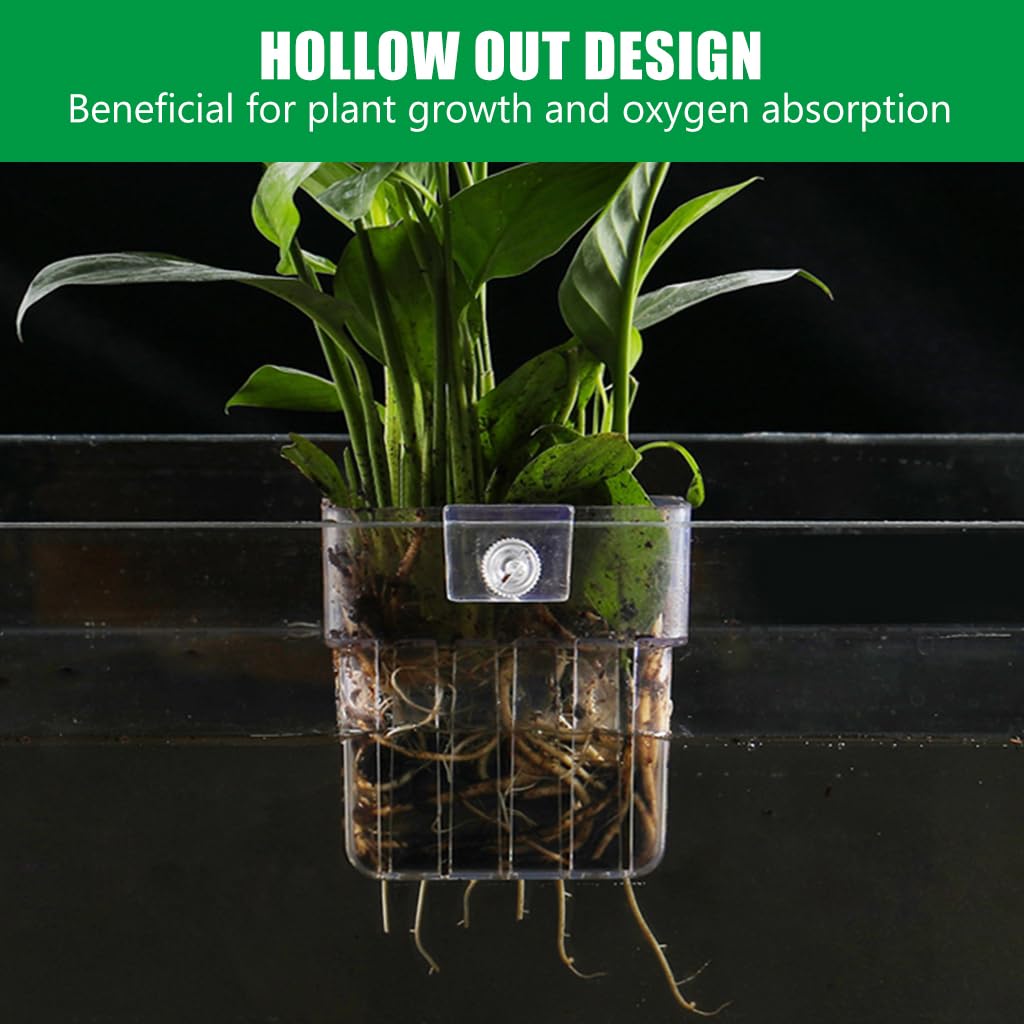 Qpets Aquarium Plant Holder for Fish Tanks featuring Screw Fixed Mount and Draining Holes 8×8×5.7 cm | Clear Acrylic Basket for Freshwater and Saltwater Aquariums