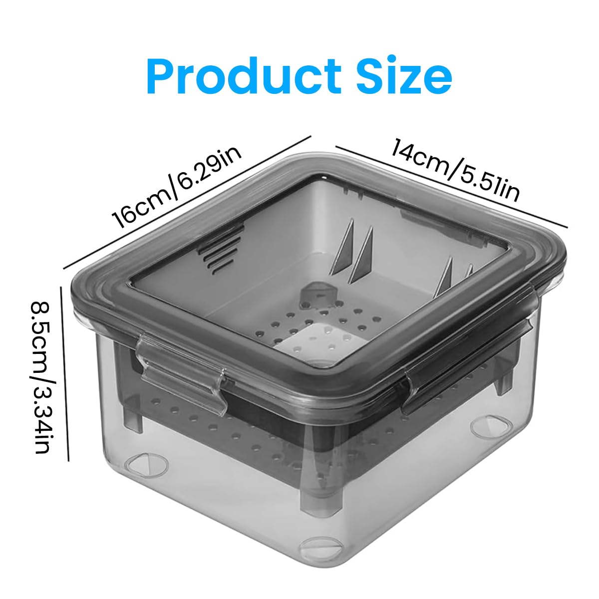 HASTHIP Tofu Press for Homemade Tofu with Efficient Spring Press Mechanism 16x14x8.5cm | Food Grade PP