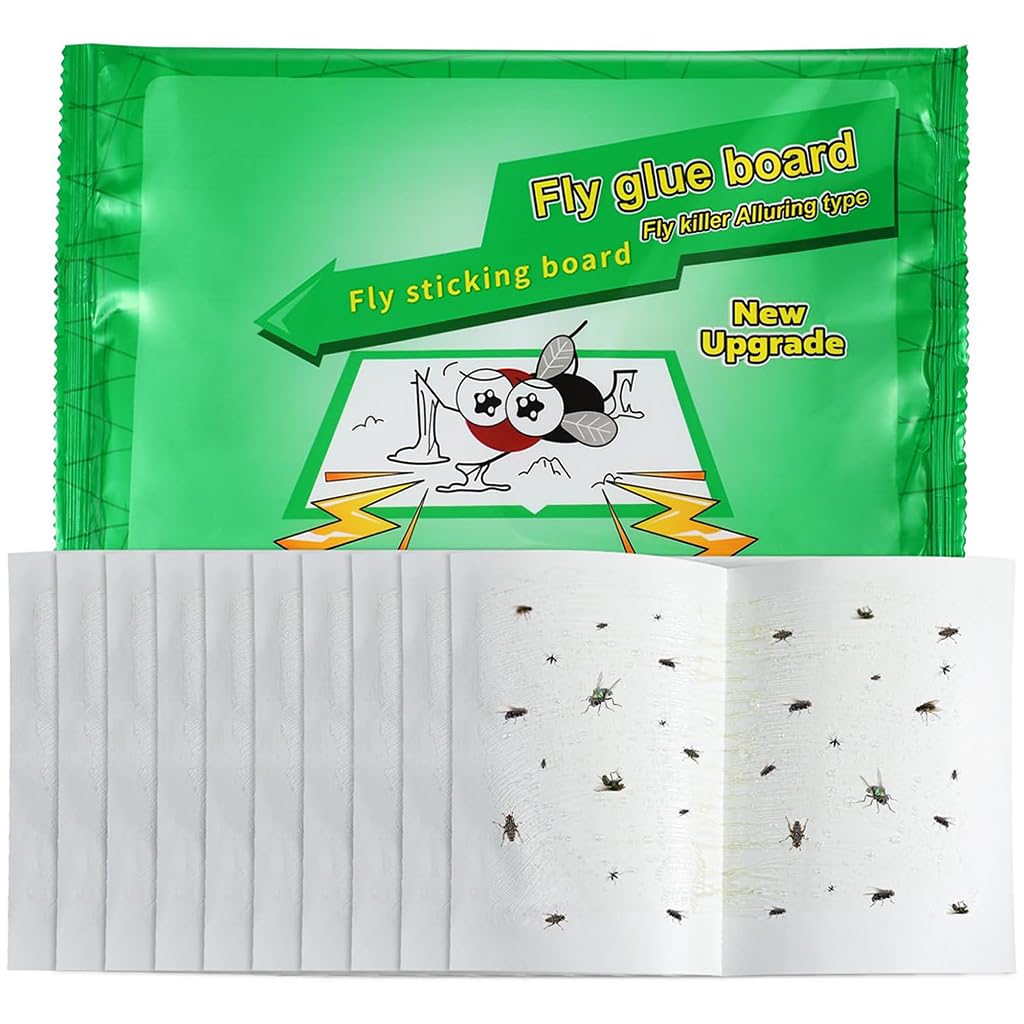 HASTHIP Adhesive Fly Trap for Kitchen and Garage with Large Surface Non-Toxic 10 Count | Odorless Insect Catcher