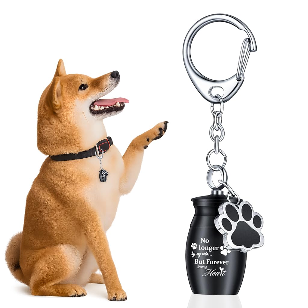 Qpets Dog Keychain for Pet Memorial with 25x15mm Urn Pendant and Paw Charm | Alloy Keepsake Gift