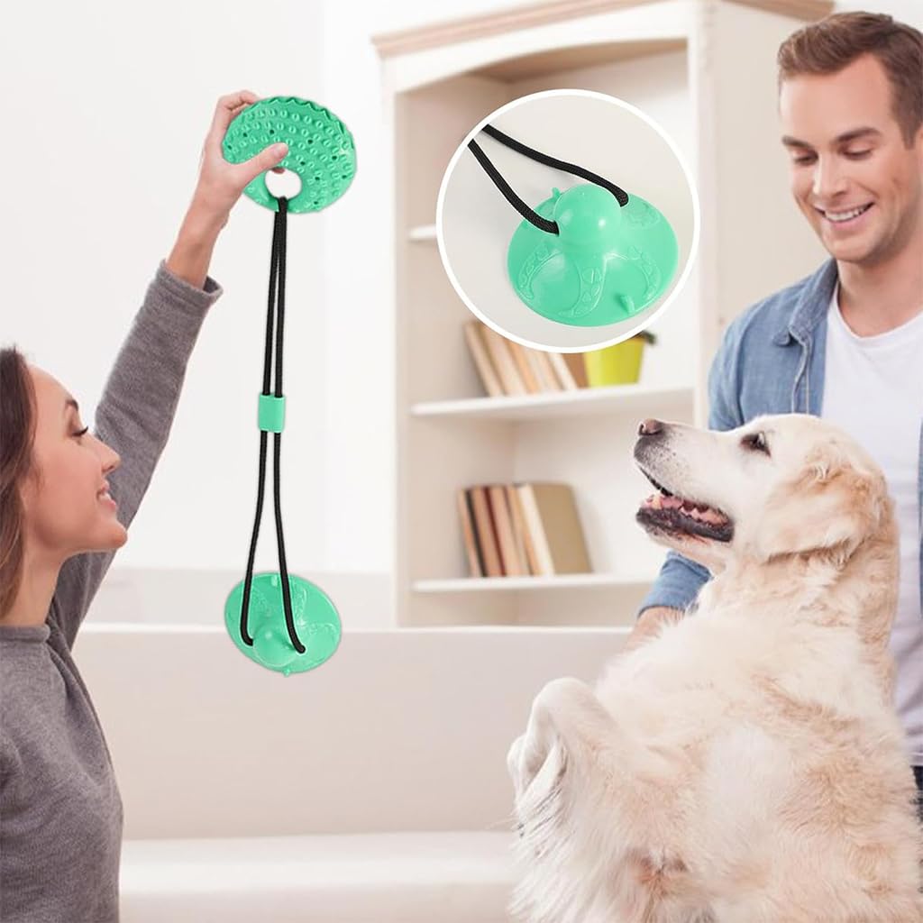 Qpets Dog Chew Toy for Self Play with Strong Suction Cup and TPR Tear Resistant Ball | Promotes Dental Health