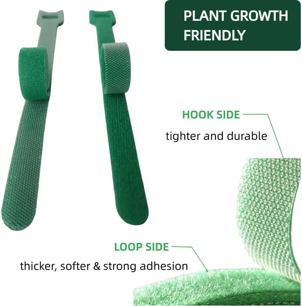 HASTHIP Plant Ties for Gardening 200 pcs 12×150 mm with Hook and Loop | Reusable Green Nylon