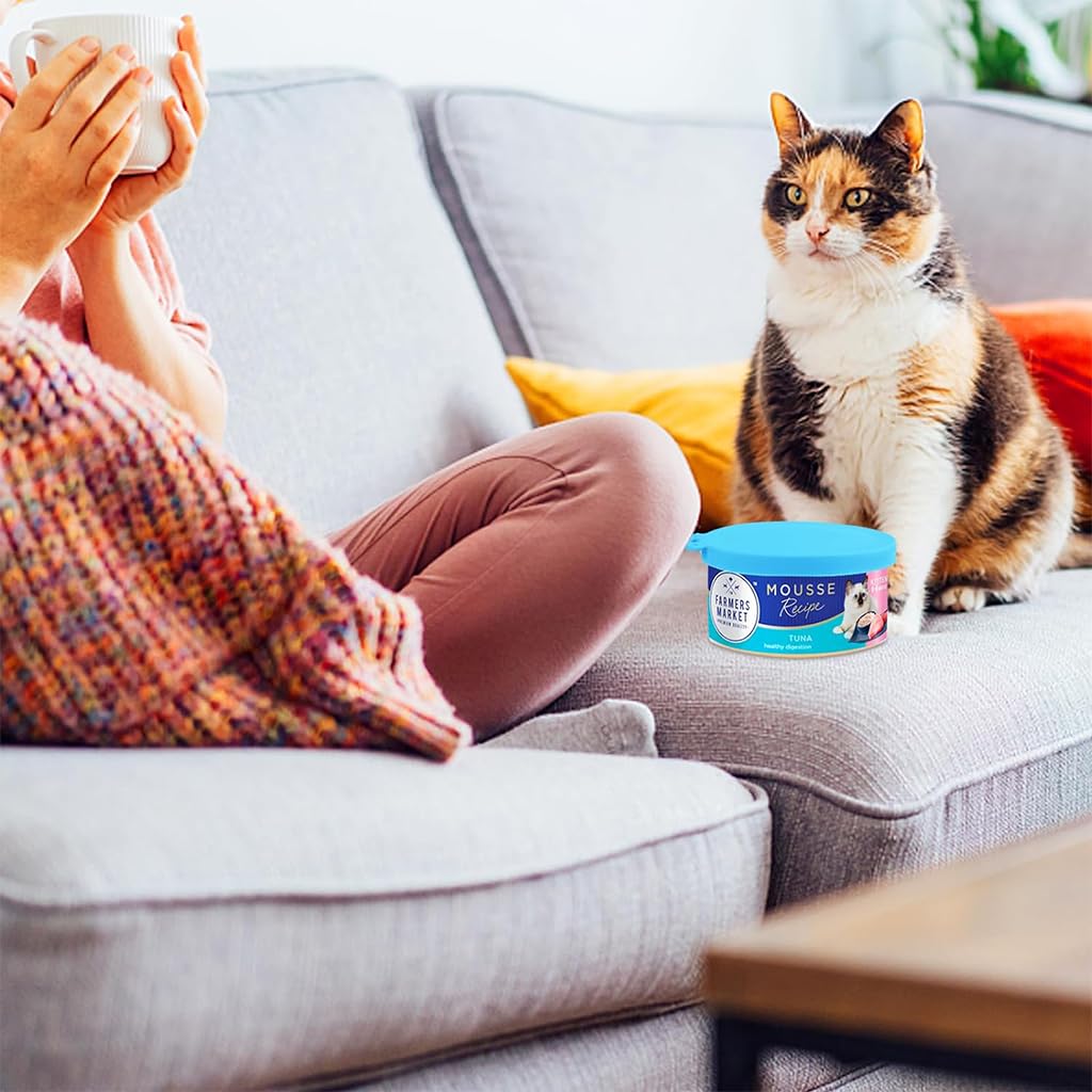 Qpets Pet Can Lid Cover for 3 5.5 12 oz Cans with Triple Ring Seal | Silicone Blue & Green