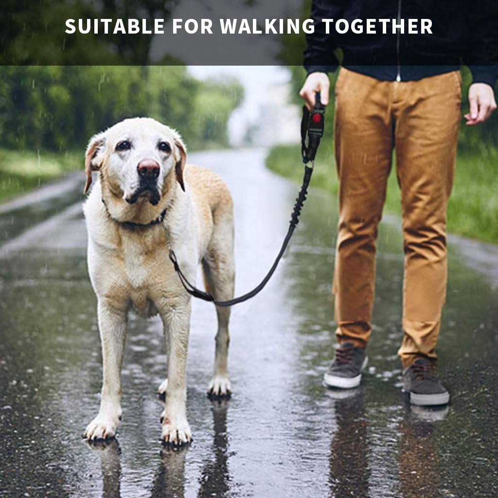 Qpets Dog Safety Harness for Car with 360° Swivel Buckle and Reinforced Nylon Strap | Adjustable Bungee Leash for Travel