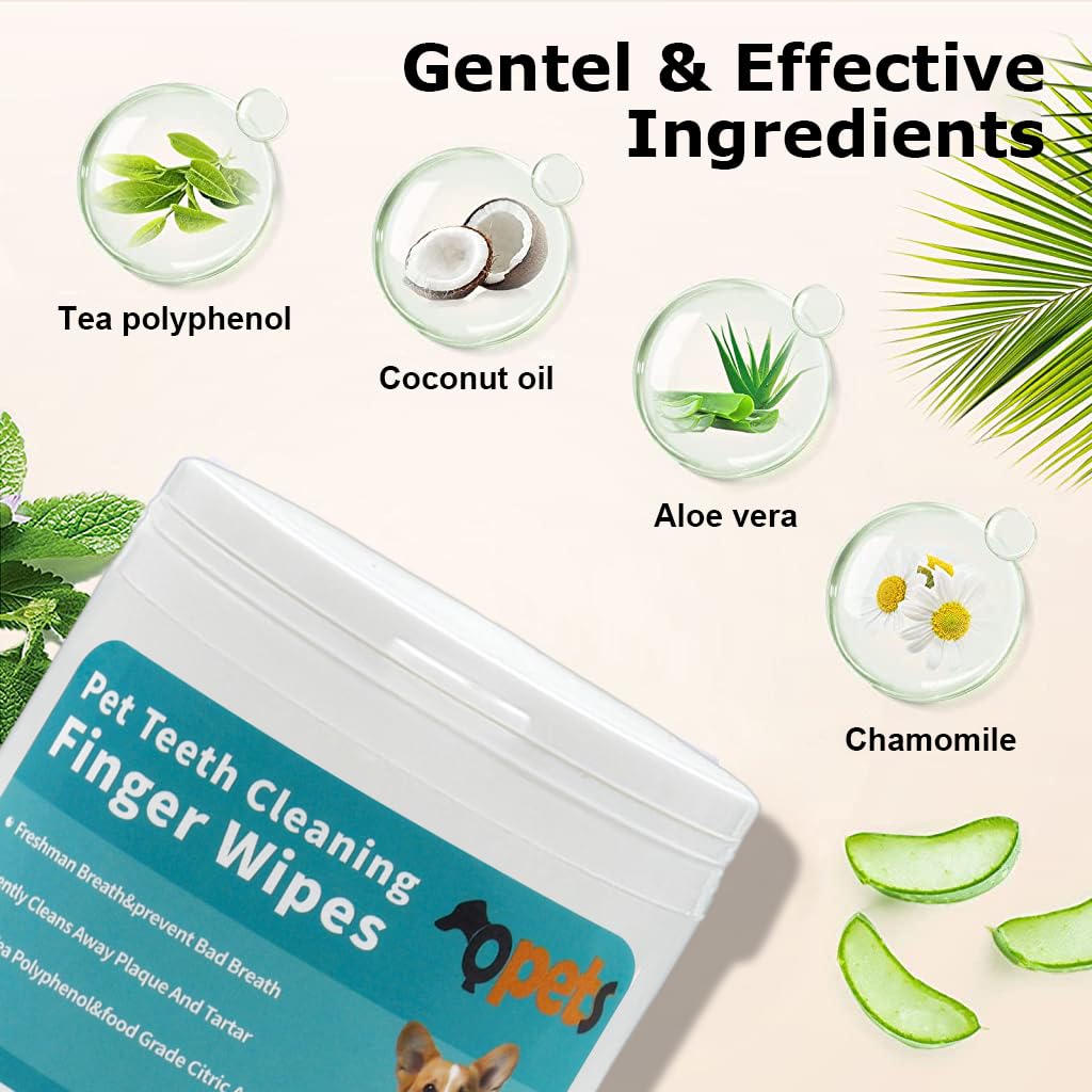 Qpets Pet Wet Wipes 50 PCS for Dogs and Cats with EDI Water Formula | Non Woven Grooming and Teeth Cleaning