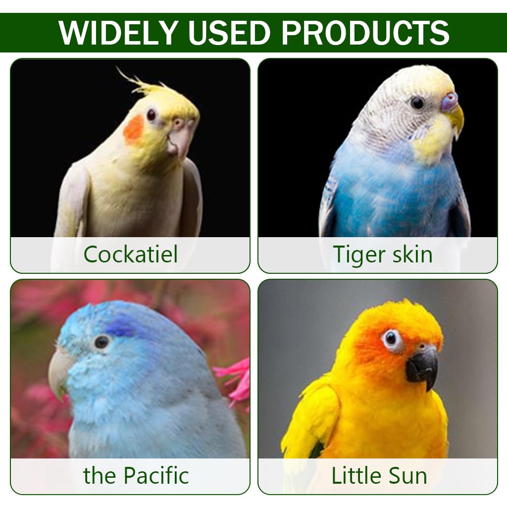 Qpets Bird Feeder for Parrot Training with Sliding Lid and Stainless Steel Box | Portable Outdoor Food Storage