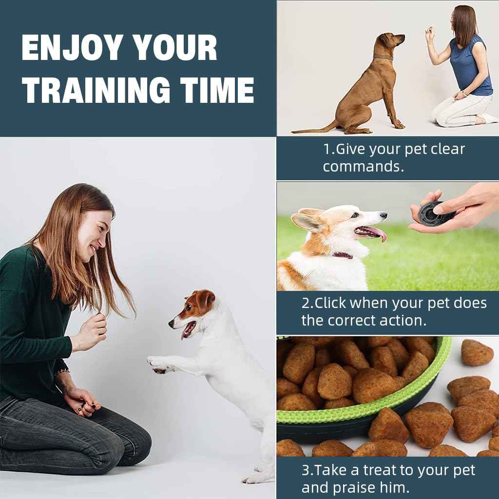 Qpets Pet Treat Pouch Portable Silicone Snack Pack for Dog Training and Outdoor Use