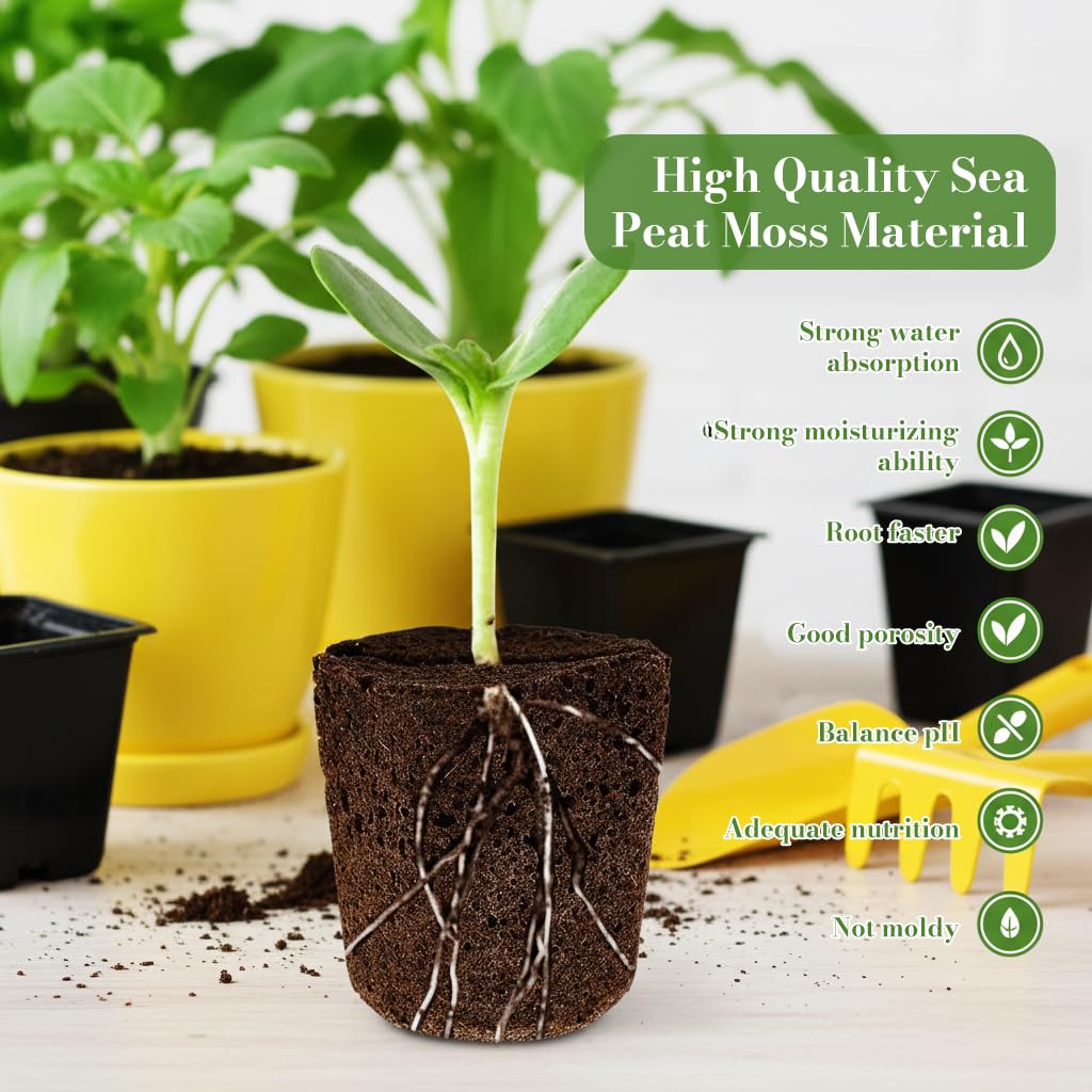 HASTHIP Seedling Sponge Blocks 50 pcs for Hydroponic Gardening featuring Porous Structure & Strong Root Aeration