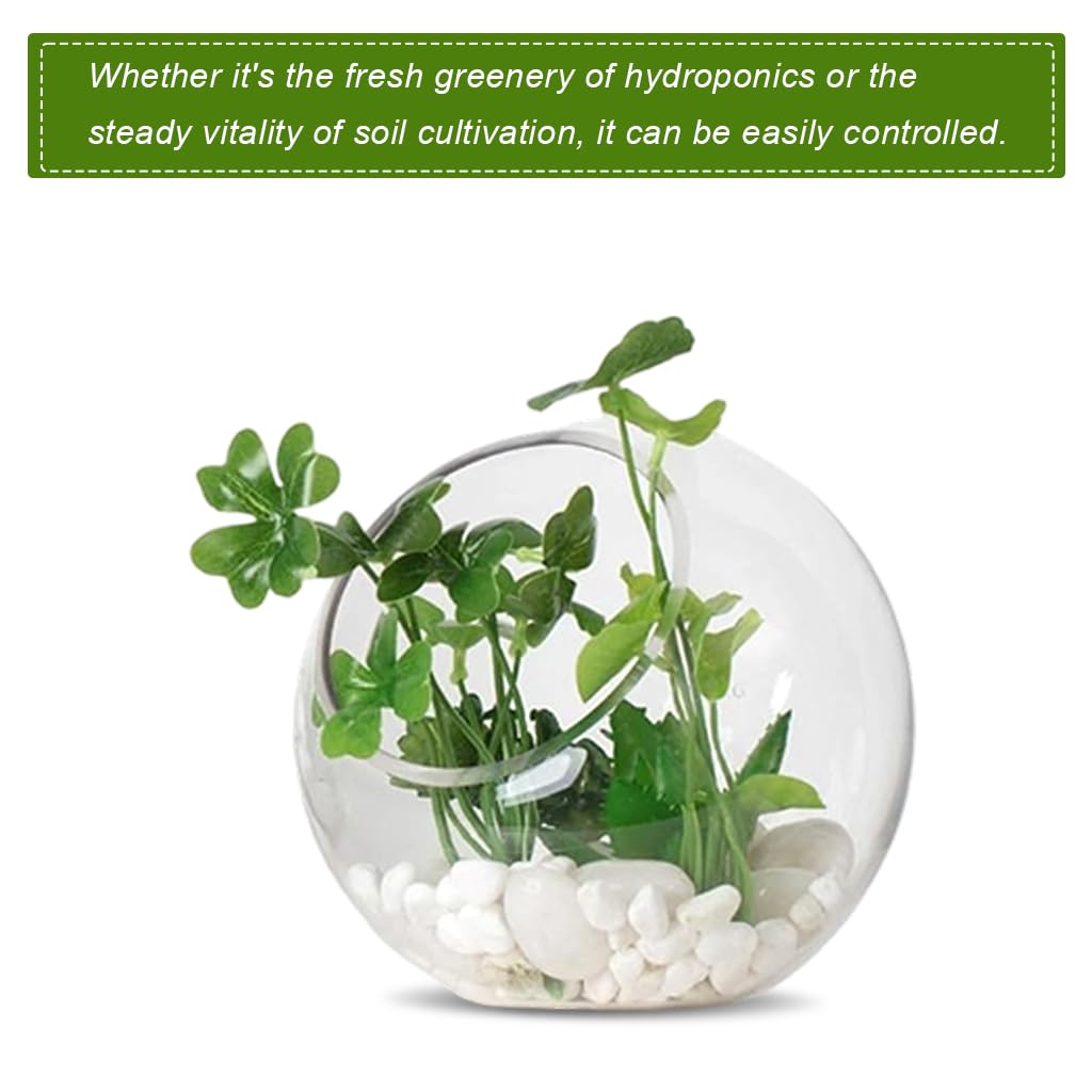 HASTHIP Glass Terrarium Container for DIY Mini Plant Display with Angled Opening | Clear Spherical Vase for Home Décor