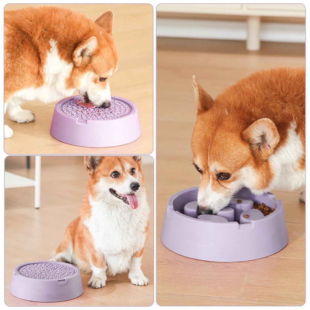 Qpets Dog Slow Feeder for Wet and Dry Food featuring Double Layer Design BPA Free Plastic 22.5x21x6.5cm