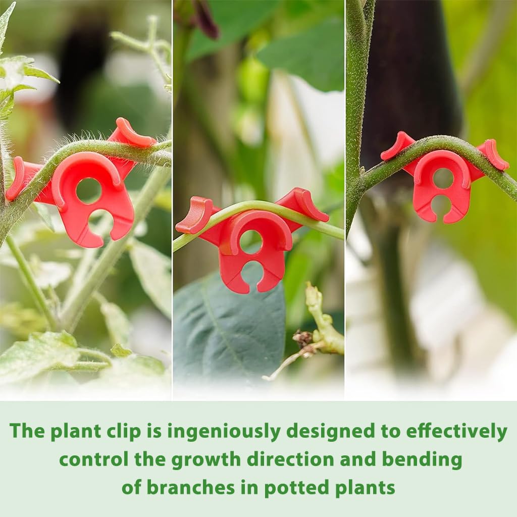 HASTHIP Plant Branch Benders for Stem Training with Dual Slot Design 30 pcs | Lightweight Plastic Clips
