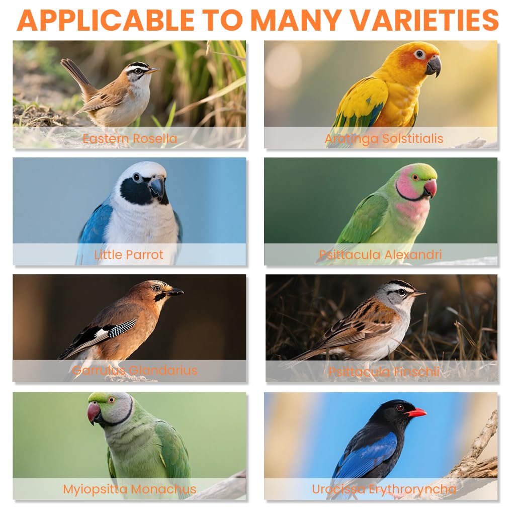 ZIBUYU Parrot Clothes 2Pcs for Budgies featuring Elastic Straps and Soft Waterproof Fabric | Washable Bird Flight Suit