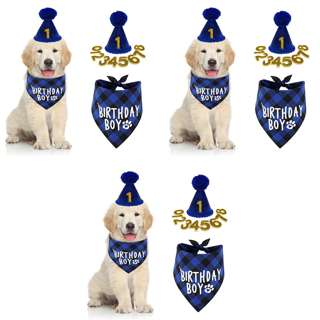Qpets Dog Gifts Hat and Bandana Set for Birthday Parties with 60cm Plaid Scarf | Blue 3PCS