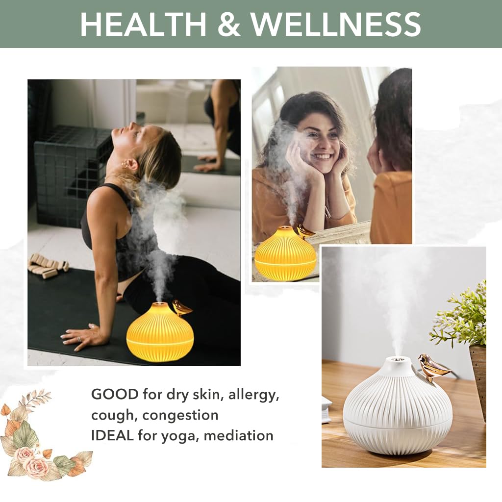 HASTHIP Mini Air Humidifier for Home and Office with 300ml Tank & Ultrasonic Mist | Warm LED Light