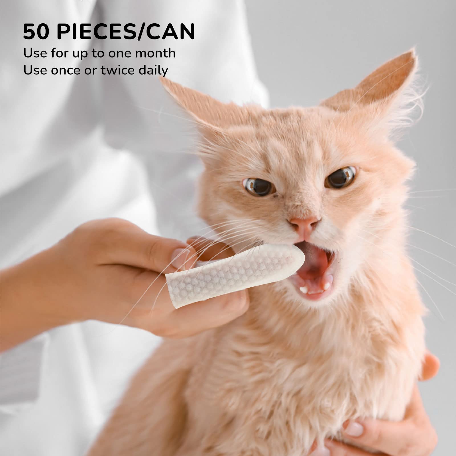 Qpets Teeth Cleaning Wipes for Pets with 50 Sheet Finger Design | Aloe and Mint Fresh Breath Care