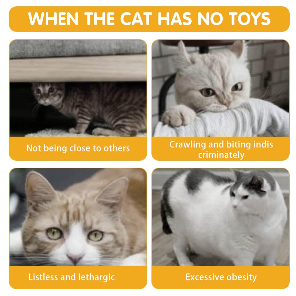 Qpets Cat Tunnel for Indoor Cats with Double S Spring Frame and Mesh Build | Foldable Play Toy