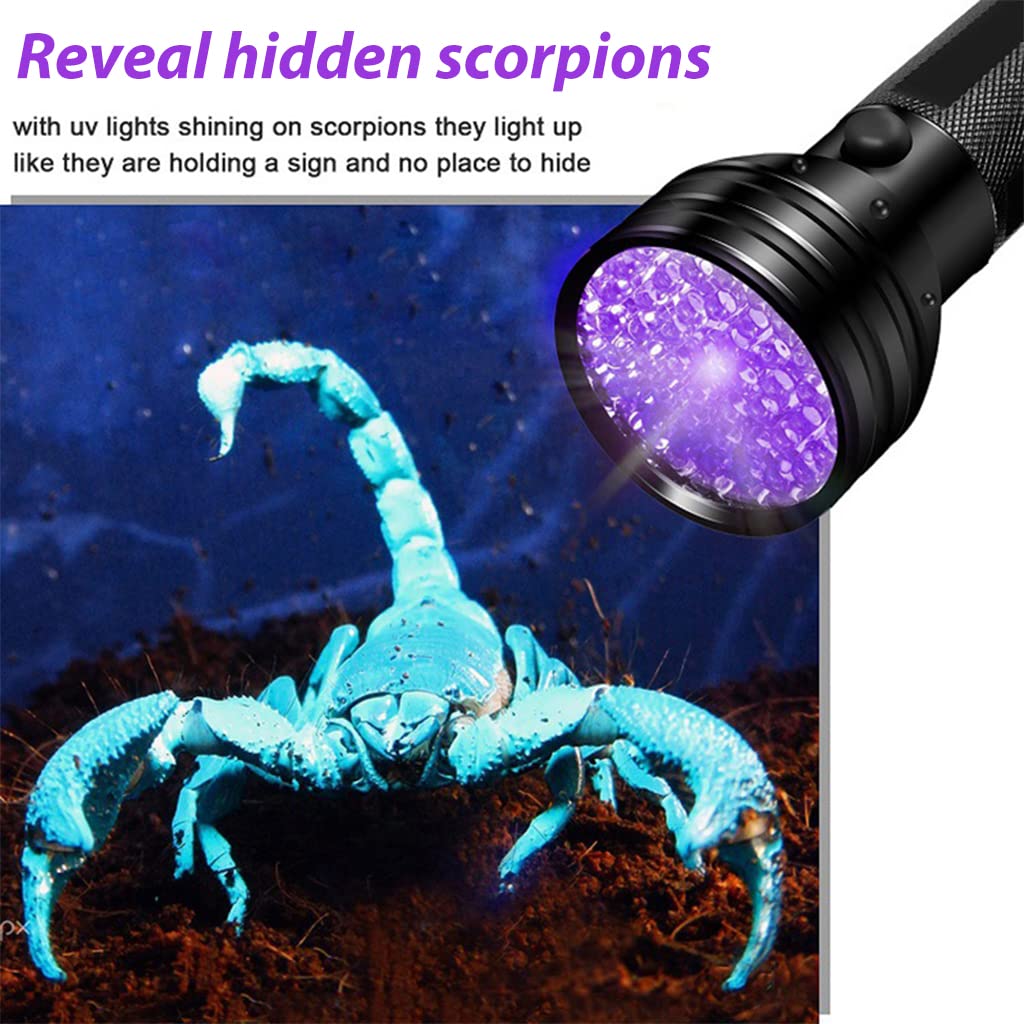 Qpets UV Flashlight for Pet Urine Detection featuring 51 LEDs and Aluminum Alloy Body | Compact 14.5 cm Torch