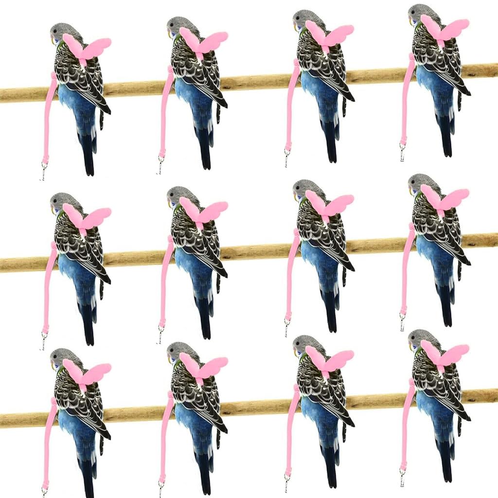 Qpets Pet Parrot Harness for Outdoor Flying with 2 m Elastic Leash and Quick Release Strap | Lightweight Adjustable Design