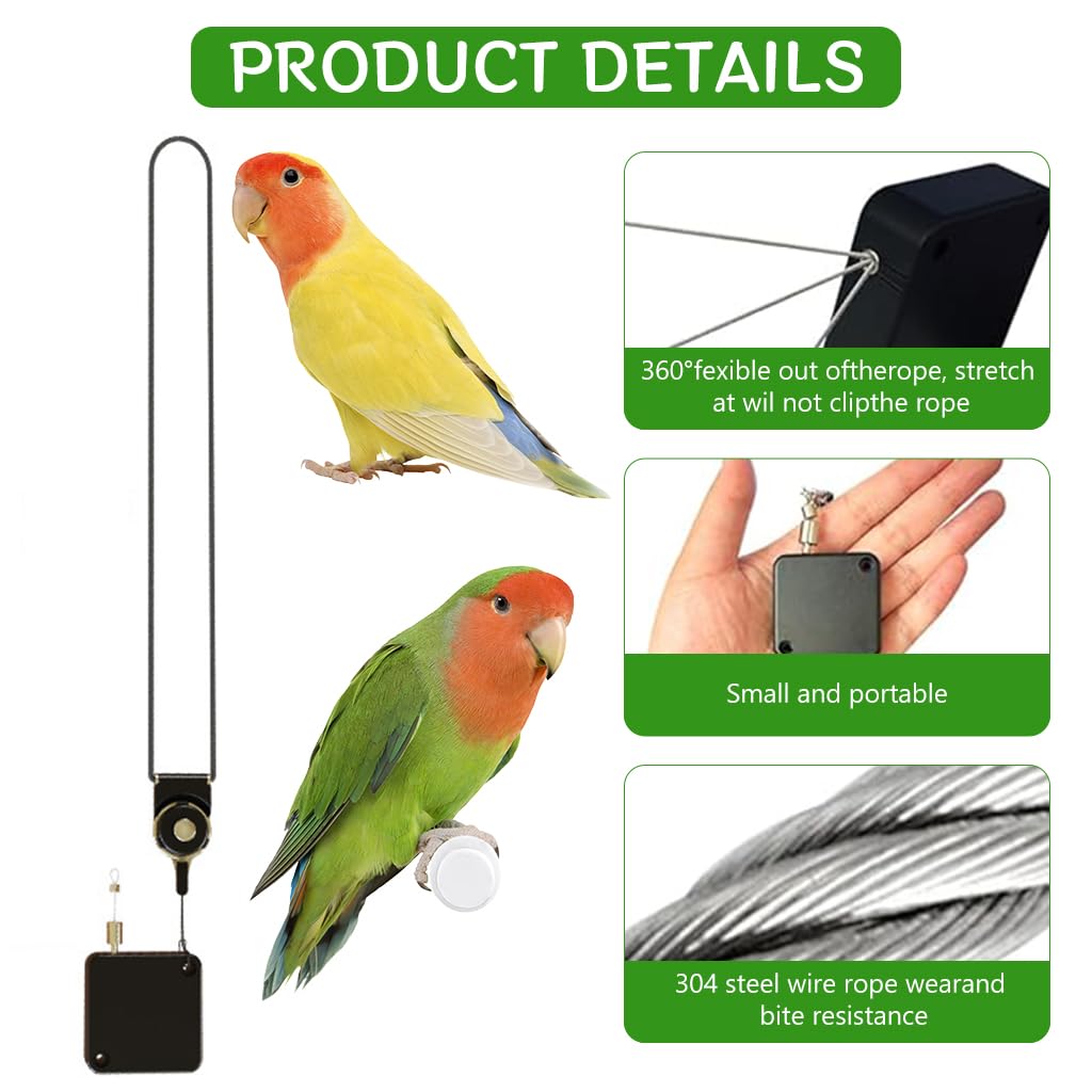 Qpets® Bird Leash, 6.6ft Parrot Leash Birds Leash with 3 Sizes Feet Loops Retractable Bird Leash Stainless Wire Bird Leash Reel Case Outdoor Bird Aviator Leash for Parrot, Budgerigars